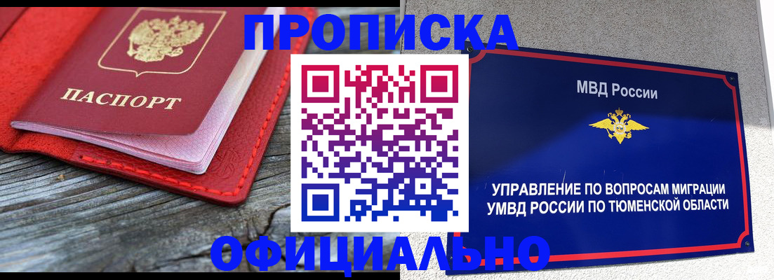 прописка законно в Завитинске